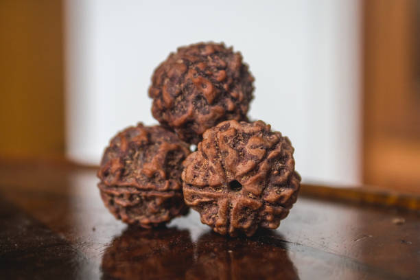 Top 5 Mukhi Rudraksha Collection in Sahakara Nagar – Genuine & Energized 5 Mukhi Rudraksha Sahakara Nagar